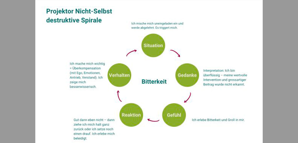 Anerkennung und Dankbarkeit – Verstehen erwirkt Heilung, erwirkt Transformation