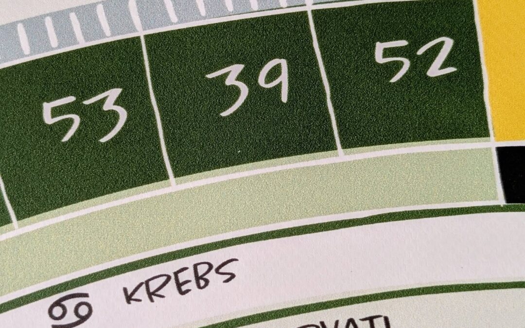 Hexagramme des I Ging Tor 39 „das Hemmnis“